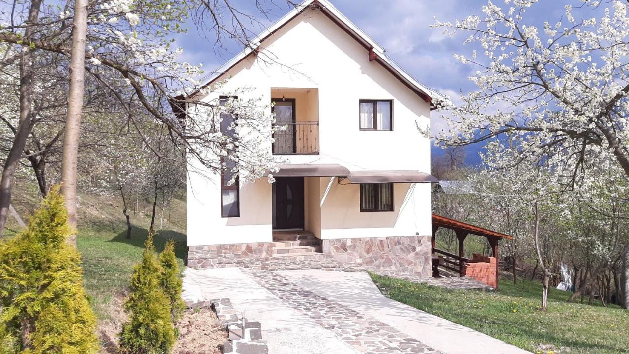 Casa Flutar Villa Moisei Eksteriør bilde