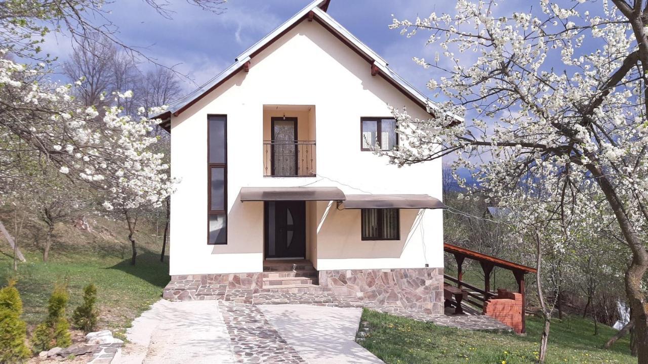 Casa Flutar Villa Moisei Eksteriør bilde