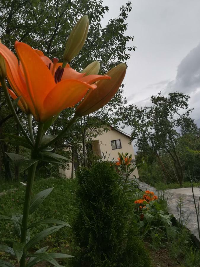 Casa Flutar Villa Moisei Eksteriør bilde