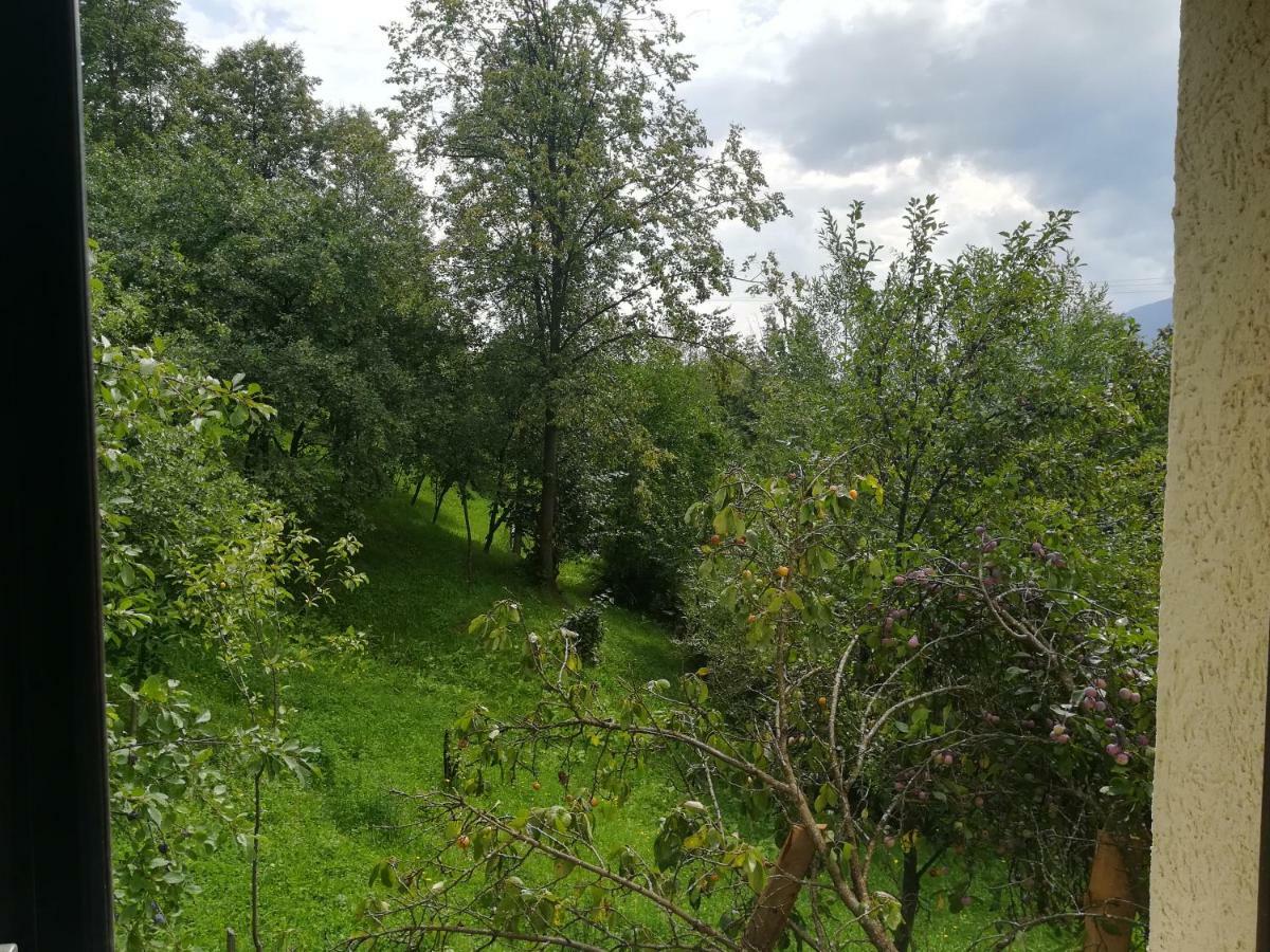 Casa Flutar Villa Moisei Eksteriør bilde
