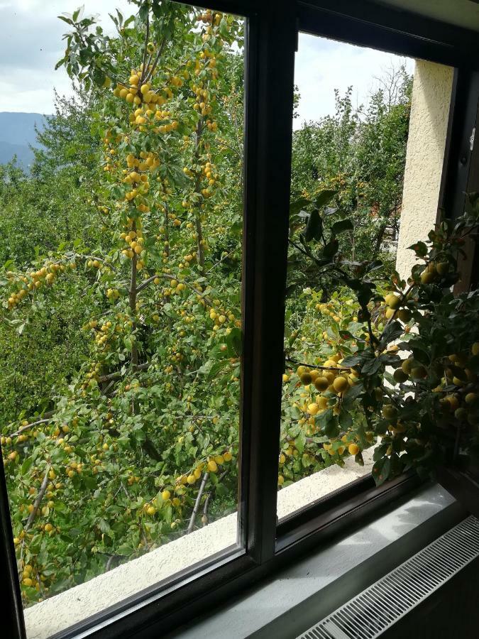 Casa Flutar Villa Moisei Eksteriør bilde
